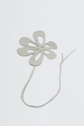 Ivory02