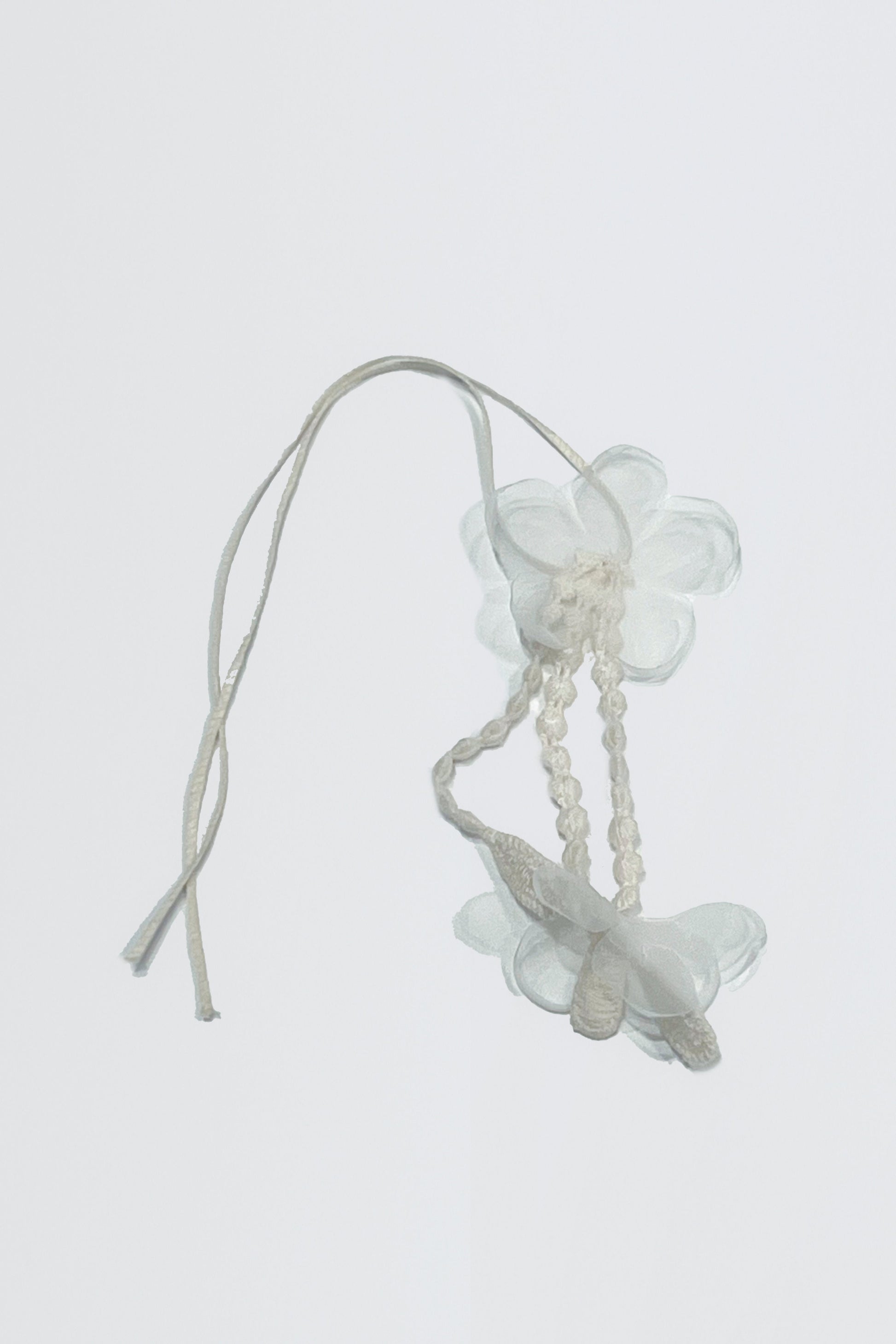 Ivory01